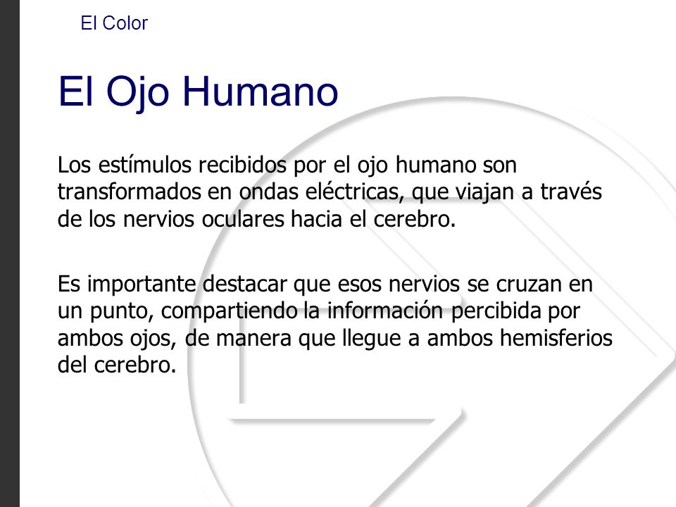 El Color El Ojo Humano.