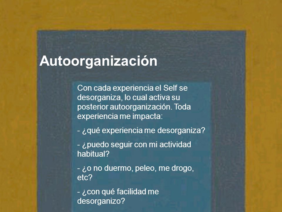 Autoorganización Con cada experiencia el Self se desorganiza, lo cual activa su posterior autoorganización. Toda experiencia me impacta: