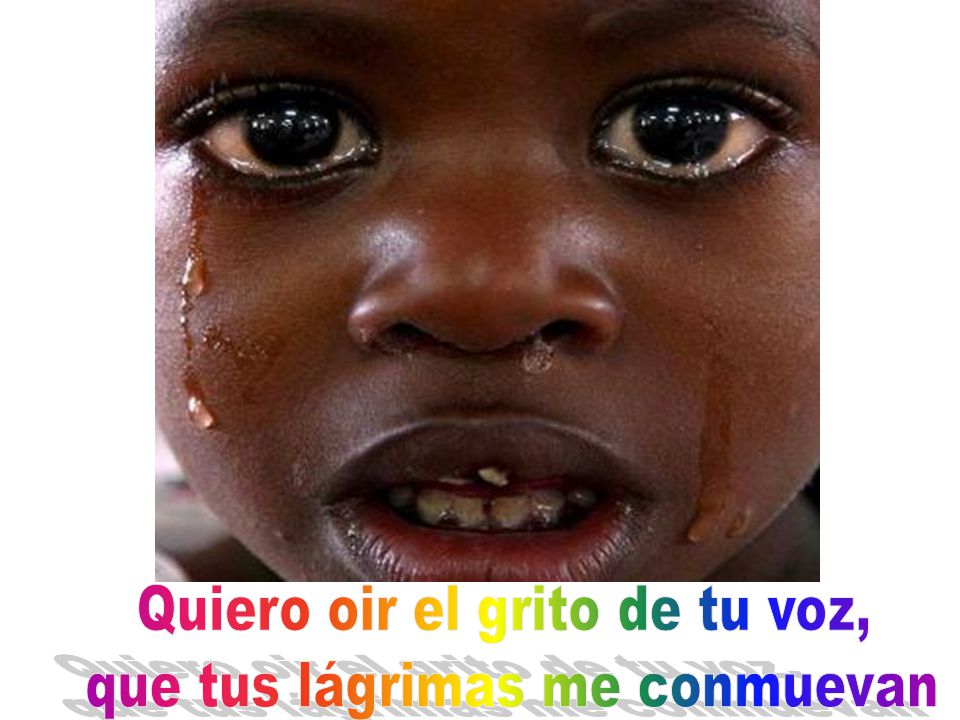 Quiero oir el grito de tu voz, que tus lágrimas me conmuevan
