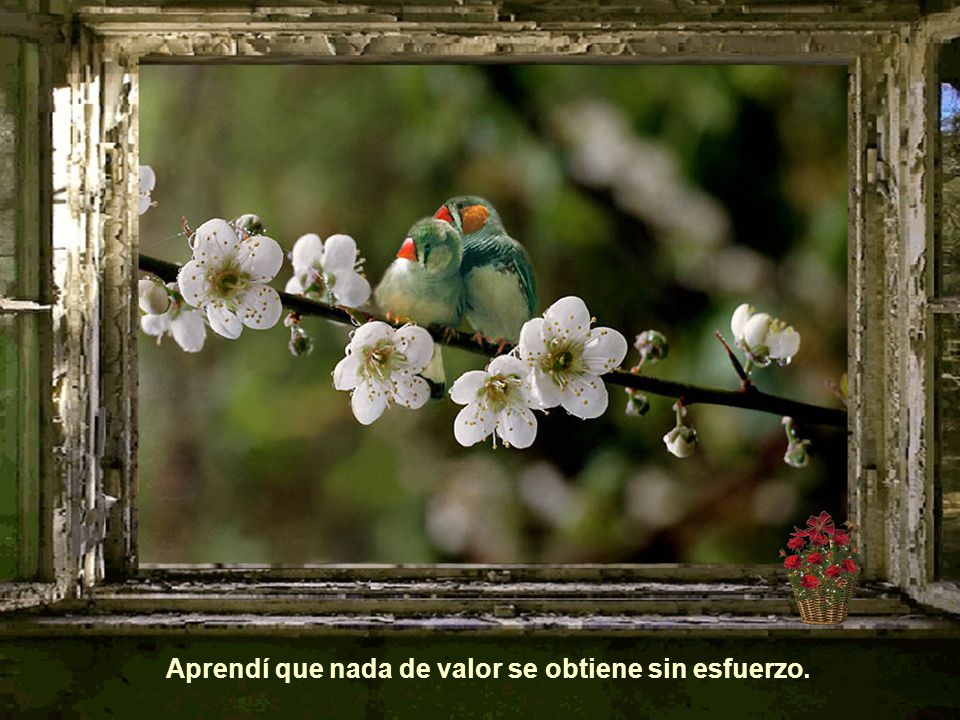 Aprendí que nada de valor se obtiene sin esfuerzo.