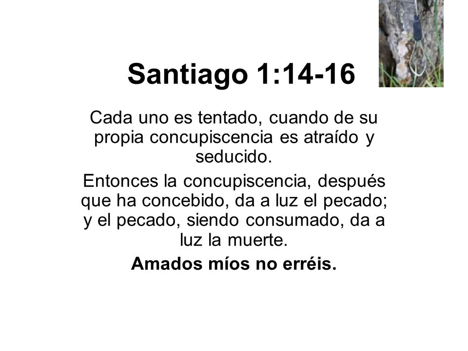 Santiago 1:14-16 Cada uno es tentado, cuando de su propia concupiscencia es atraído y seducido.