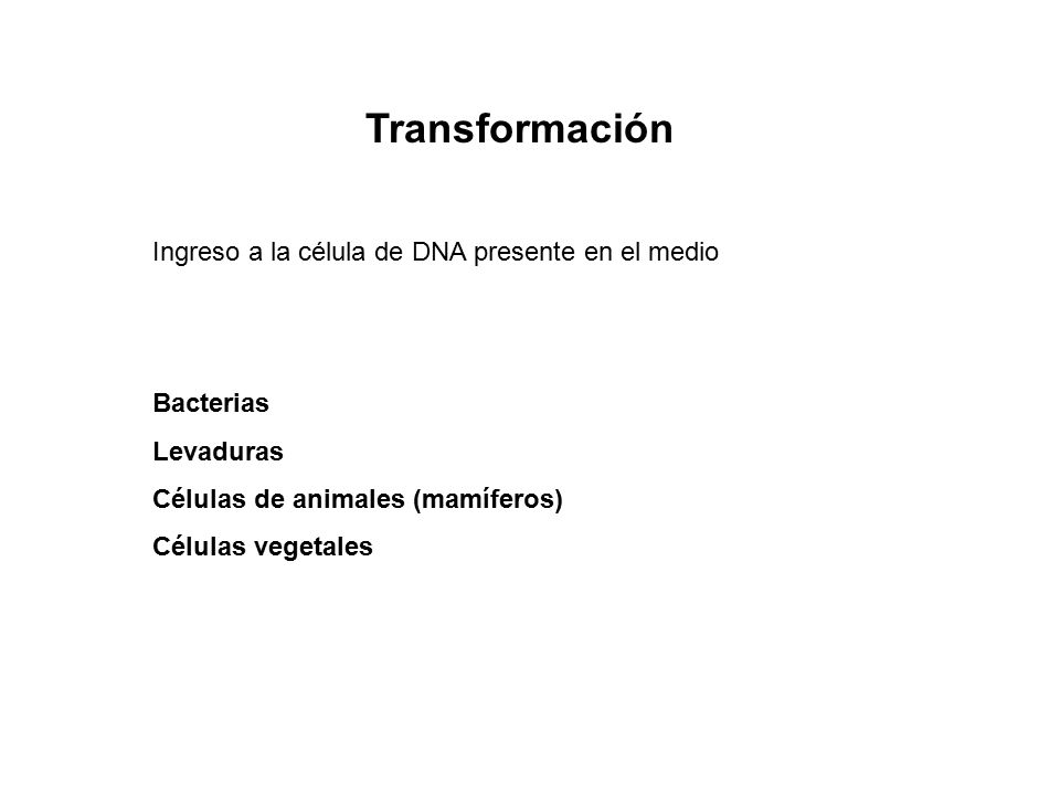 Transformación Ingreso a la célula de DNA presente en el medio
