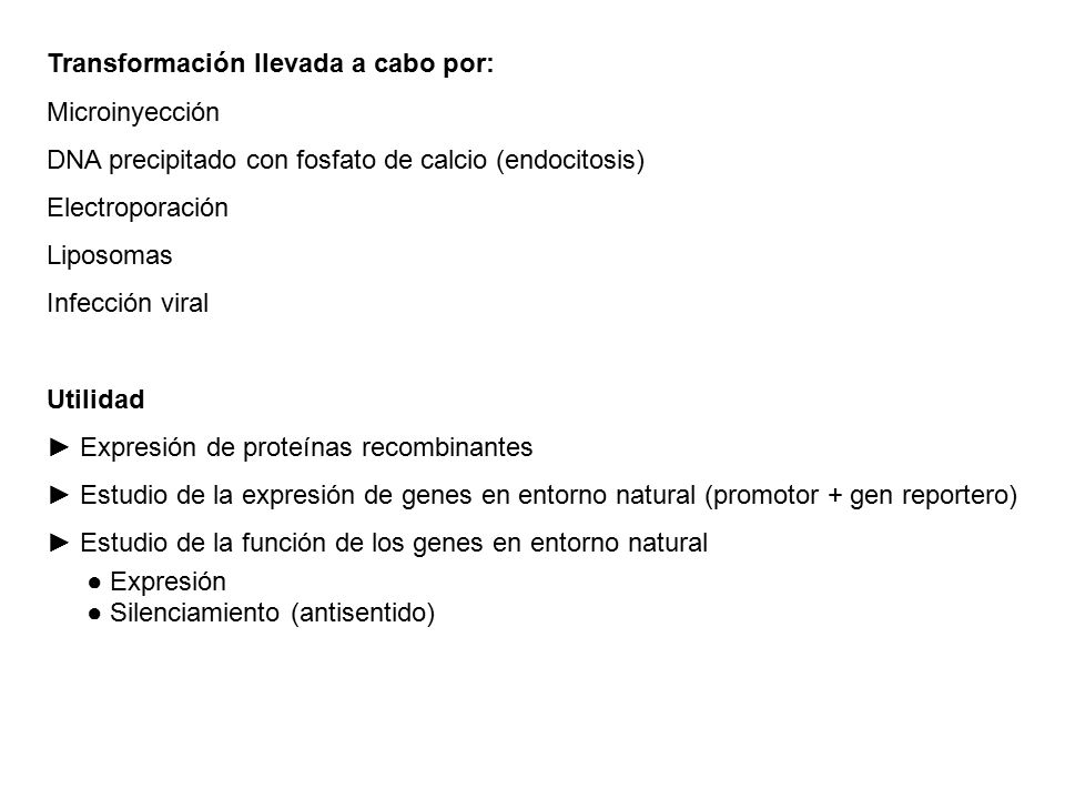 Transformación llevada a cabo por: