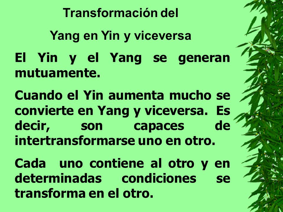 Transformación del Yang en Yin y viceversa. El Yin y el Yang se generan mutuamente.