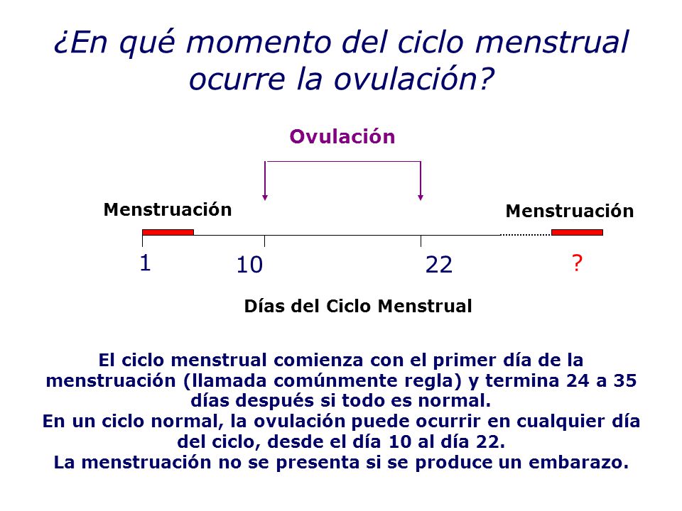 ¿En qué momento del ciclo menstrual ocurre la ovulación