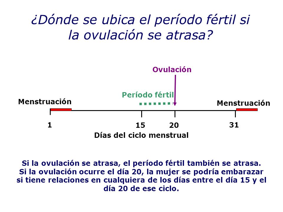 ¿Dónde se ubica el período fértil si la ovulación se atrasa