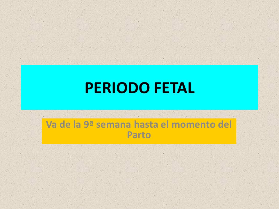 Va de la 9ª semana hasta el momento del Parto