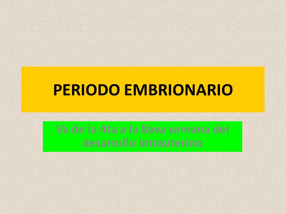 Va de la 4ta a la 8ava semana del desarrollo intrauterino