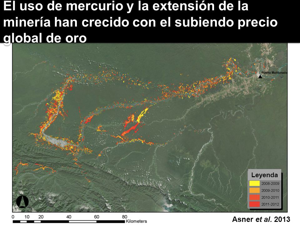 El uso de mercurio y la extensión de la minería han crecido con el subiendo precio global de oro