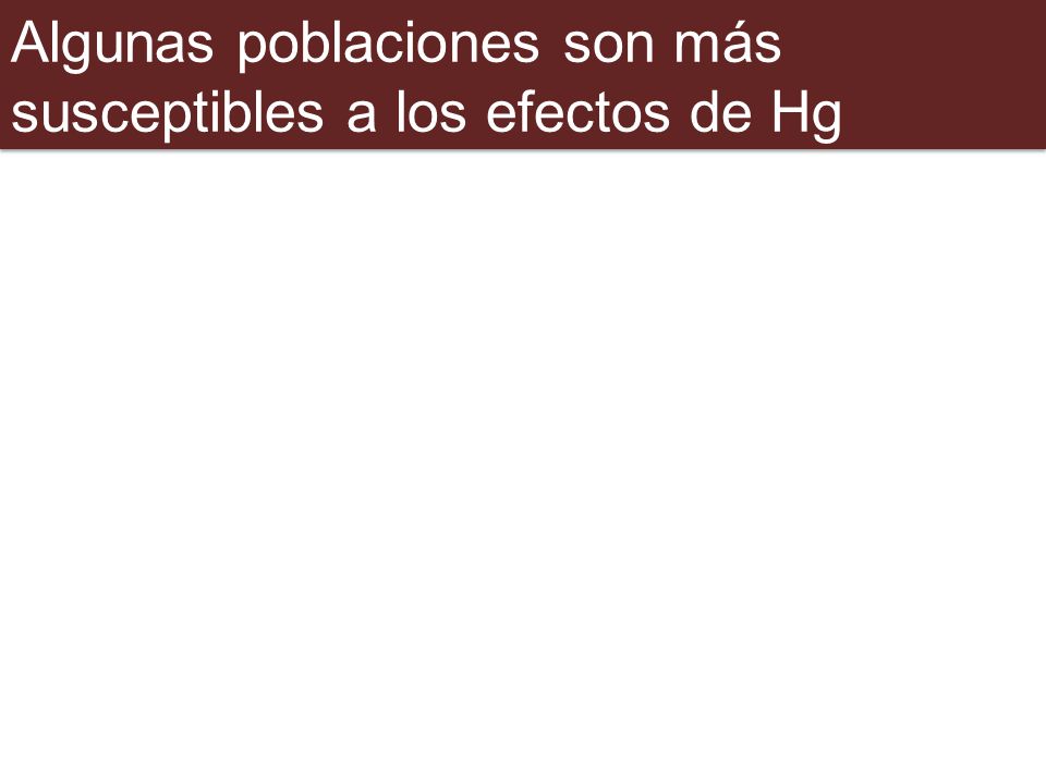 Algunas poblaciones son más susceptibles a los efectos de Hg