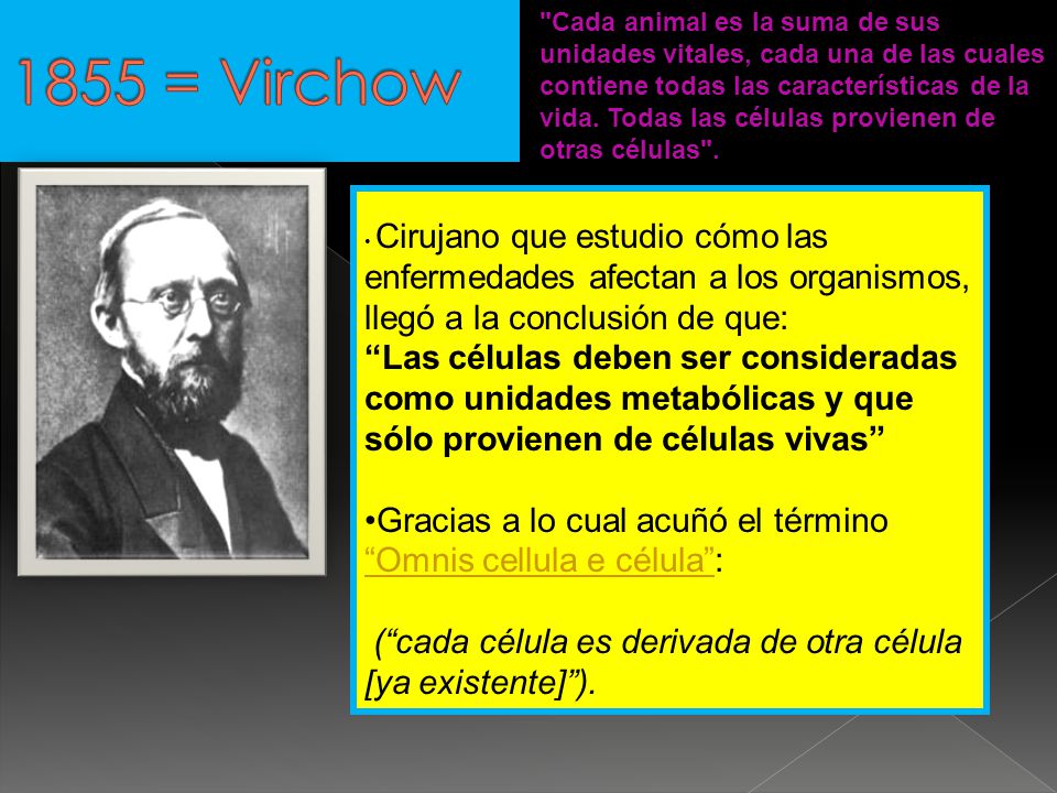 1855 = Virchow
