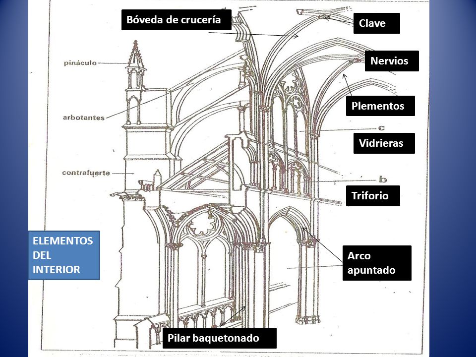 Bóveda de crucería Clave. Nervios. Plementos. Vidrieras. Triforio. ELEMENTOS DEL INTERIOR. Arco apuntado.