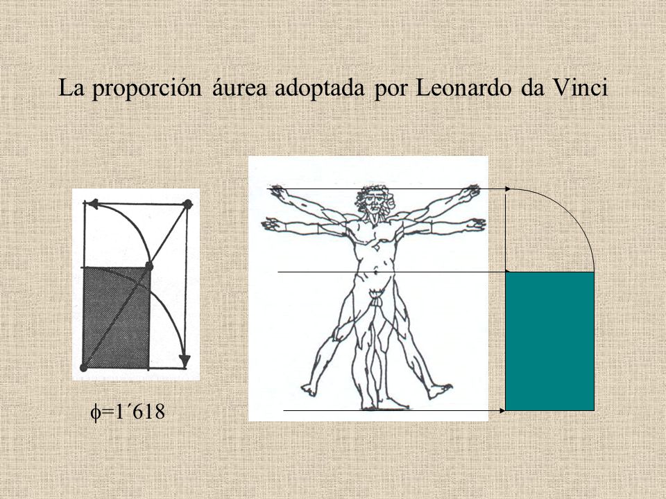 La proporción áurea adoptada por Leonardo da Vinci