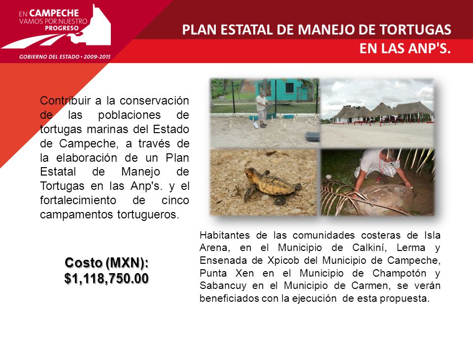 PLAN ESTATAL DE MANEJO DE TORTUGAS EN LAS ANP S.