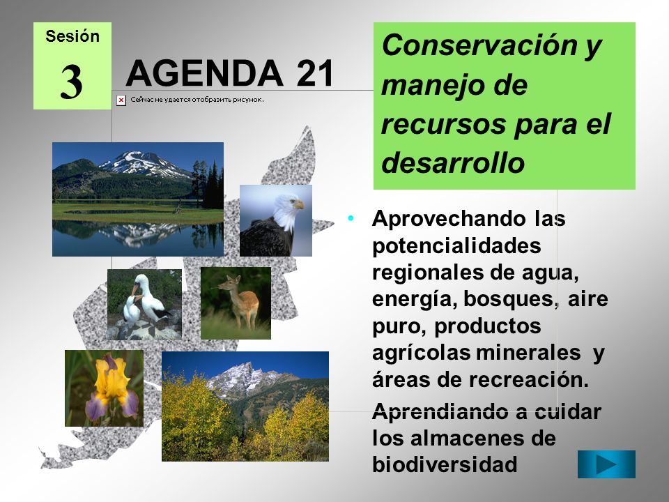 3 AGENDA 21 Conservación y manejo de recursos para el desarrollo