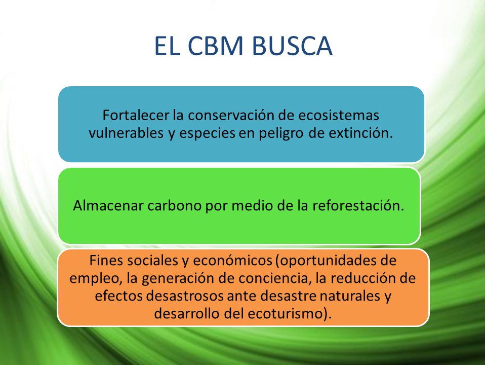 Almacenar carbono por medio de la reforestación.