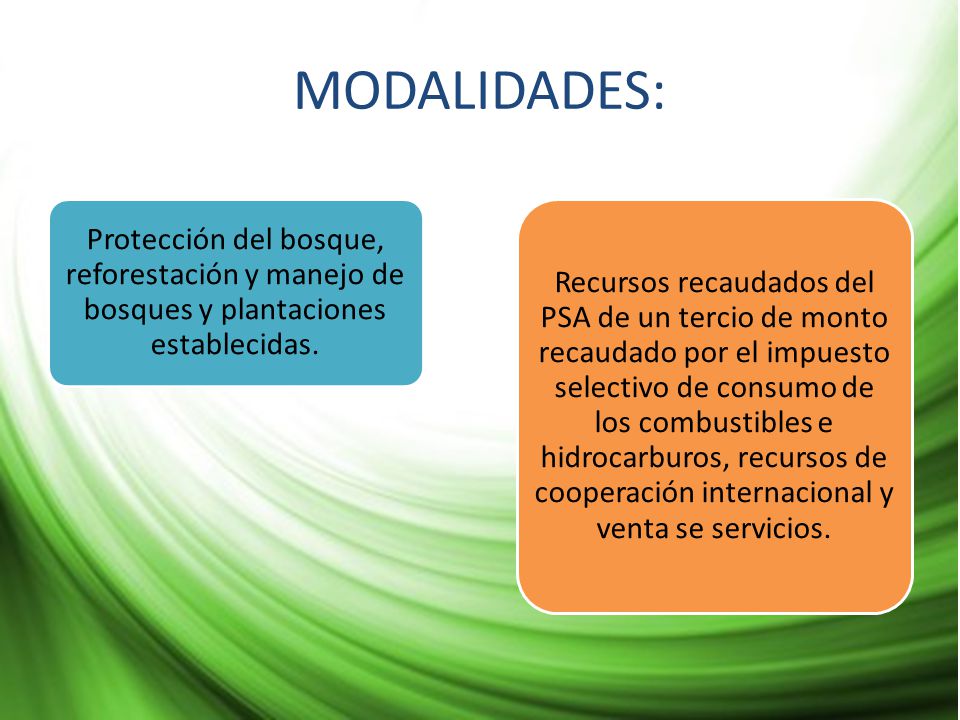 MODALIDADES: Protección del bosque, reforestación y manejo de bosques y plantaciones establecidas.