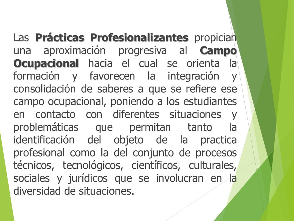 Las Prácticas Profesionalizantes propician una aproximación progresiva al Campo Ocupacional hacia el cual se orienta la formación y favorecen la integración y consolidación de saberes a que se refiere ese campo ocupacional, poniendo a los estudiantes en contacto con diferentes situaciones y problemáticas que permitan tanto la identificación del objeto de la practica profesional como la del conjunto de procesos técnicos, tecnológicos, científicos, culturales, sociales y jurídicos que se involucran en la diversidad de situaciones.