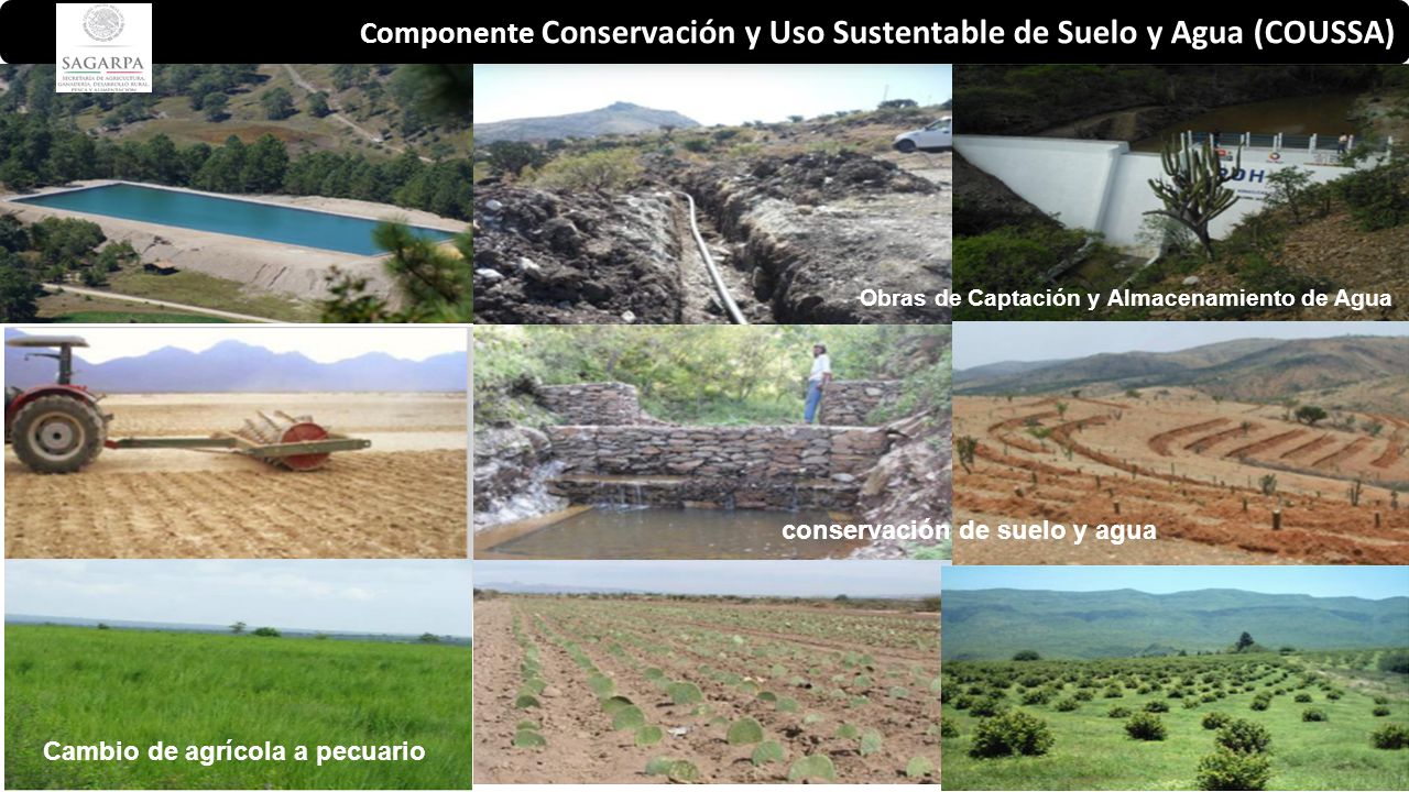 Componente Conservación y Uso Sustentable de Suelo y Agua (COUSSA)
