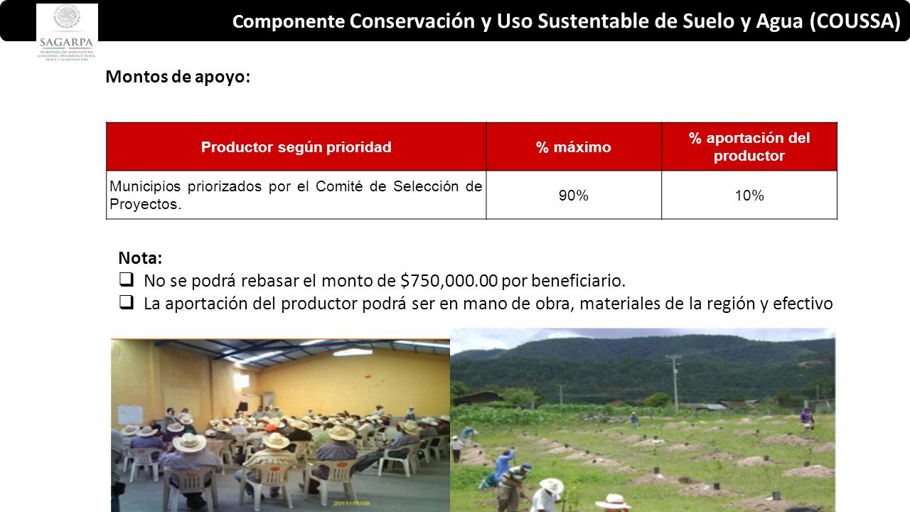 Productor según prioridad % aportación del productor
