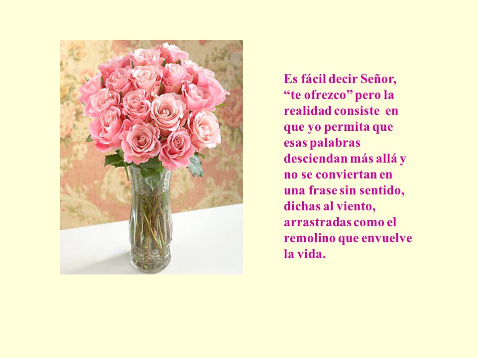 Es fácil decir Señor, te ofrezco pero la realidad consiste en que yo permita que esas palabras desciendan más allá y no se conviertan en una frase sin sentido, dichas al viento, arrastradas como el remolino que envuelve la vida.