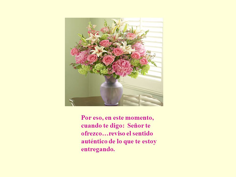 Por eso, en este momento, cuando te digo: Señor te. ofrezco…reviso el sentido. auténtico de lo que te estoy.