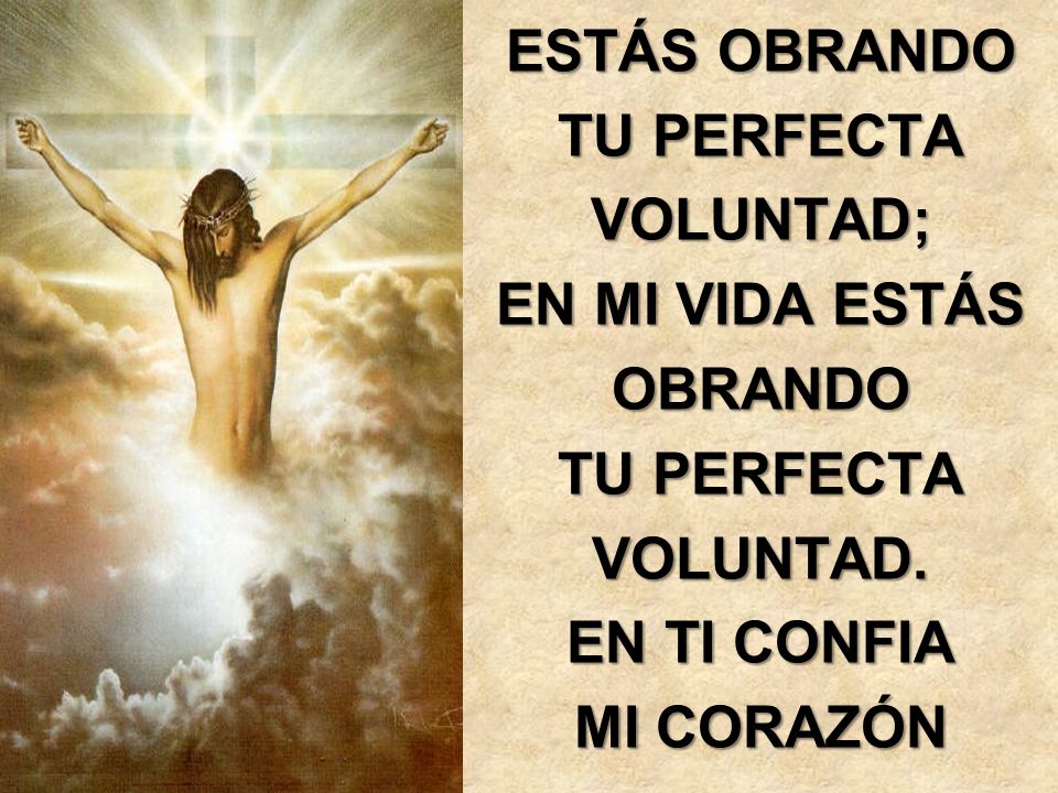 ESTÁS OBRANDO TU PERFECTA VOLUNTAD; EN MI VIDA ESTÁS OBRANDO VOLUNTAD. EN TI CONFIA MI CORAZÓN
