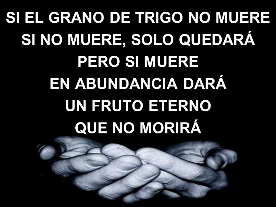 SI EL GRANO DE TRIGO NO MUERE SI NO MUERE, SOLO QUEDARÁ PERO SI MUERE EN ABUNDANCIA DARÁ UN FRUTO ETERNO QUE NO MORIRÁ