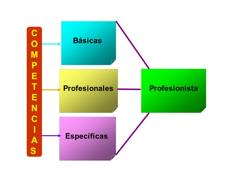 Básicas C O M P E T N I A S Profesionales Profesionista Específicas