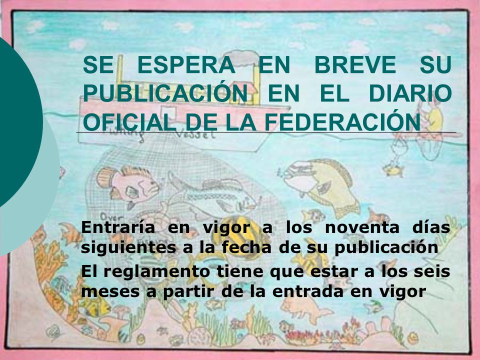 SE ESPERA EN BREVE SU PUBLICACIÓN EN EL DIARIO OFICIAL DE LA FEDERACIÓN
