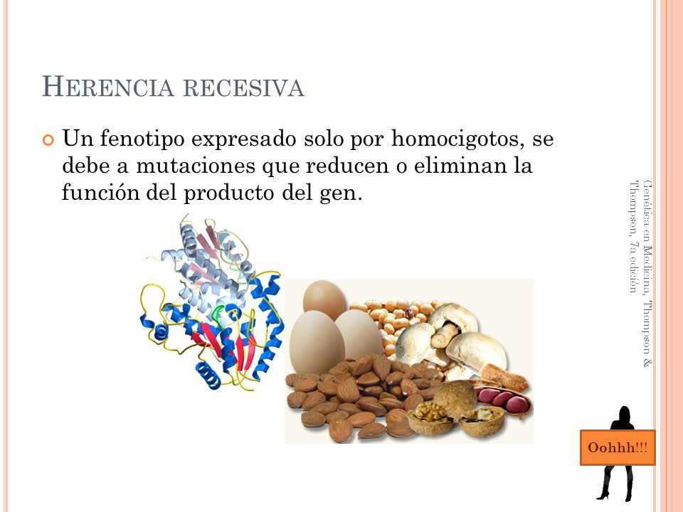 Herencia recesiva Un fenotipo expresado solo por homocigotos, se debe a mutaciones que reducen o eliminan la función del producto del gen.