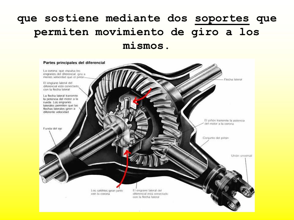 que sostiene mediante dos soportes que permiten movimiento de giro a los mismos.