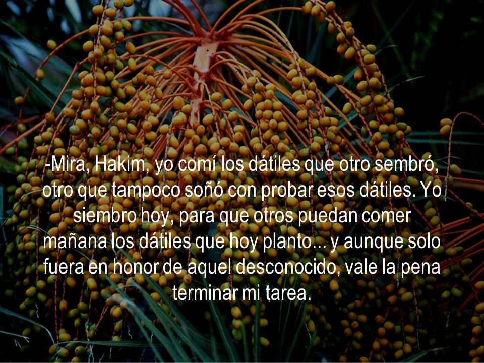 -Mira, Hakim, yo comí los dátiles que otro sembró, otro que tampoco soñó con probar esos dátiles.