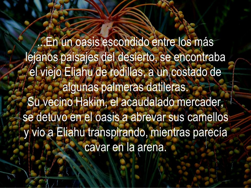 ...En un oasis escondido entre los más lejanos paisajes del desierto, se encontraba el viejo Eliahu de rodillas, a un costado de algunas palmeras datileras.