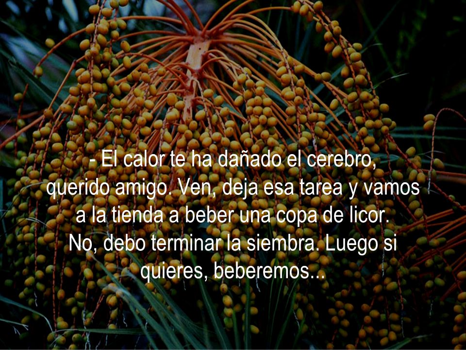 - El calor te ha dañado el cerebro, querido amigo