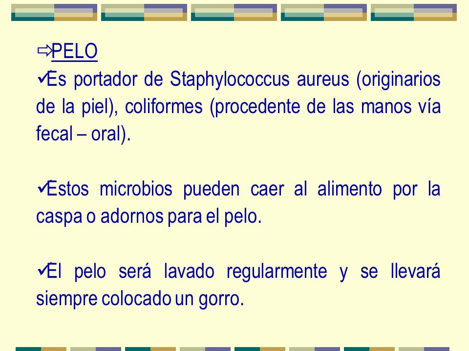 PELO Es portador de Staphylococcus aureus (originarios de la piel), coliformes (procedente de las manos vía fecal – oral).