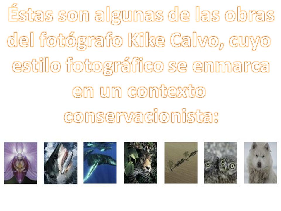 Éstas son algunas de las obras del fotógrafo Kike Calvo, cuyo