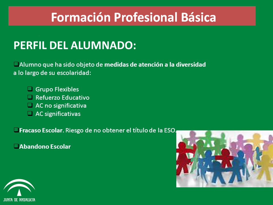 PERFIL DEL ALUMNADO: Alumno que ha sido objeto de medidas de atención a la diversidad a lo largo de su escolaridad: