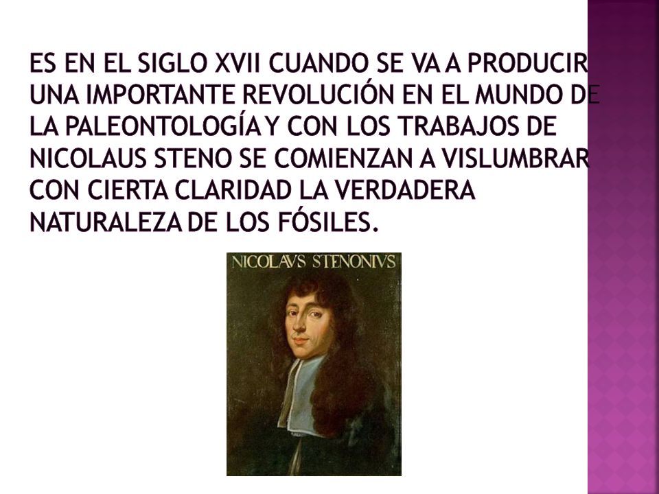 Es en el siglo XVII cuando se va a producir una importante revolución en el mundo de la Paleontología y con los trabajos de Nicolaus Steno se comienzan a vislumbrar con cierta claridad la verdadera naturaleza de los fósiles.