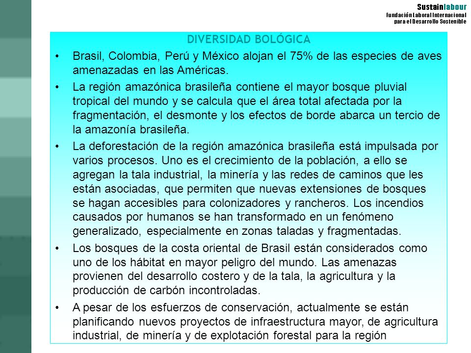 DIVERSIDAD BOLÓGICA Brasil, Colombia, Perú y México alojan el 75% de las especies de aves amenazadas en las Américas.