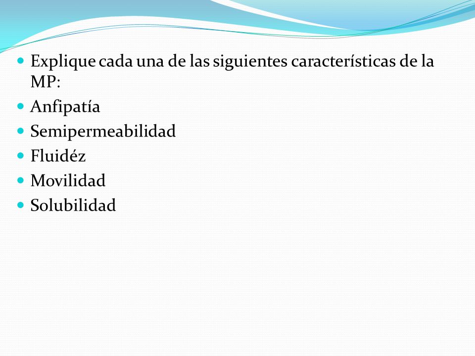 Explique cada una de las siguientes características de la MP: