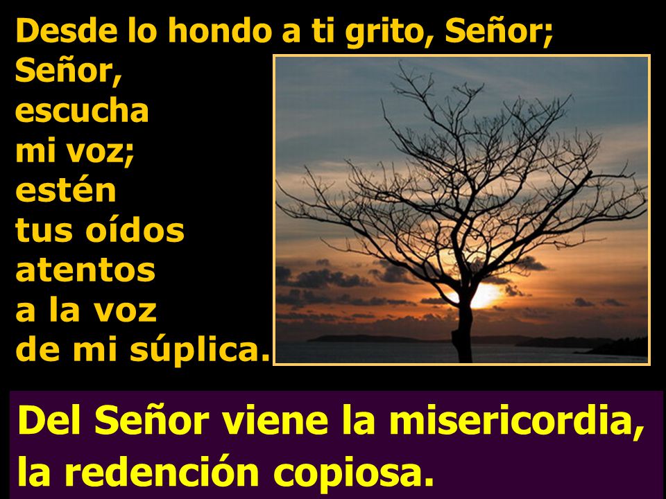 Del Señor viene la misericordia, la redención copiosa.