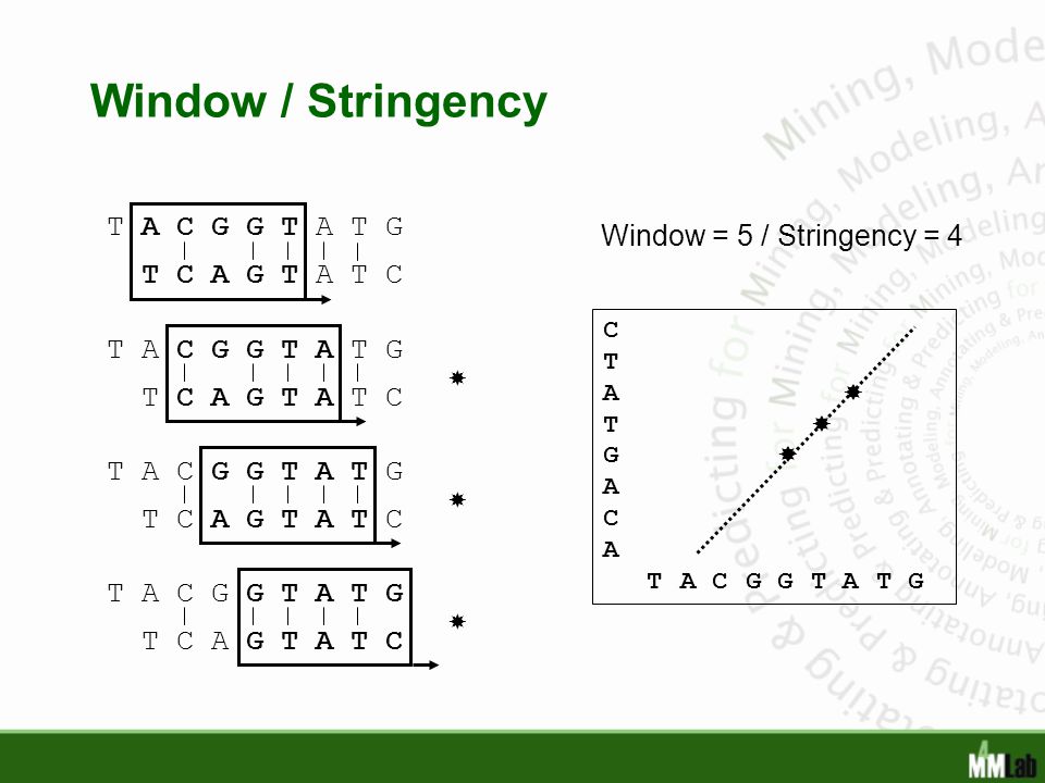 Window / Stringency T A C G G T A T G Window = 5 / Stringency = 4