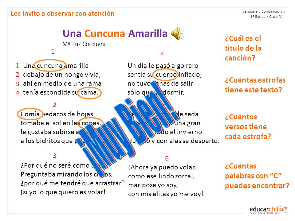 ¡Muy Bien! Una Cuncuna Amarilla ¿Cuál es el título de la canción