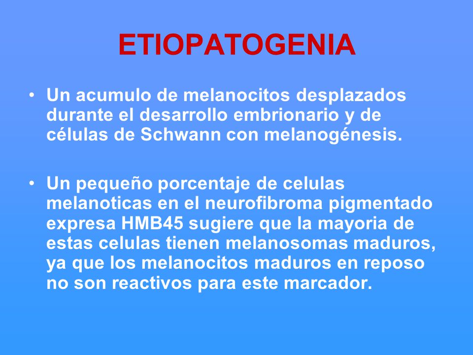 ETIOPATOGENIA Un acumulo de melanocitos desplazados durante el desarrollo embrionario y de células de Schwann con melanogénesis.
