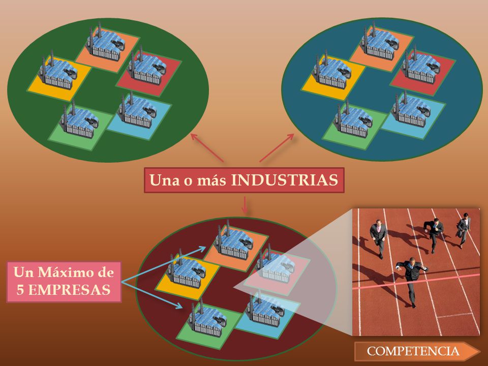 Una o más INDUSTRIAS Un Máximo de 5 EMPRESAS COMPETENCIA