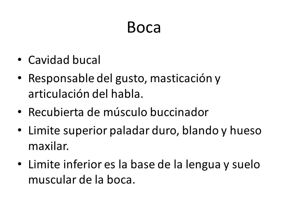 Boca Cavidad bucal. Responsable del gusto, masticación y articulación del habla. Recubierta de músculo buccinador.