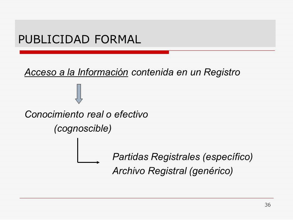 PUBLICIDAD FORMAL Acceso a la Información contenida en un Registro