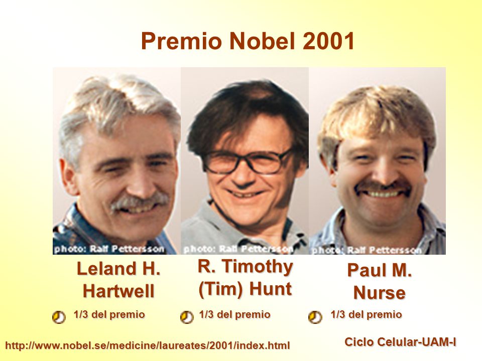 Premio Nobel 2001 R. Timothy (Tim) Hunt Leland H. Hartwell