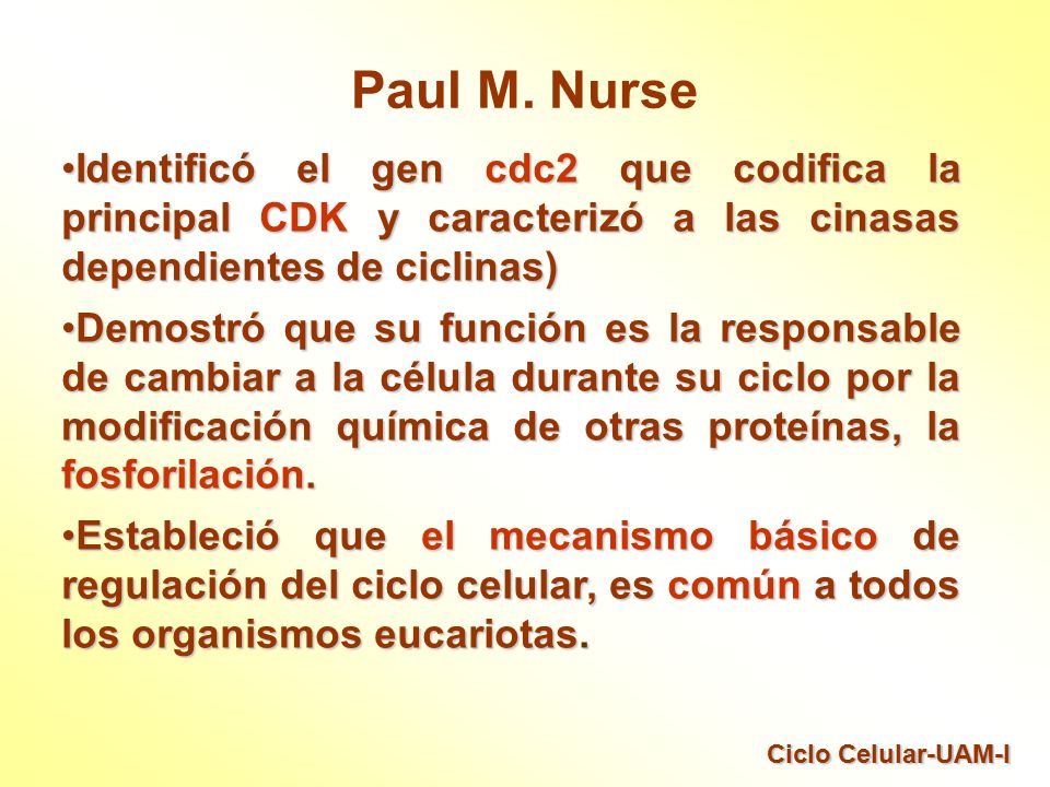Paul M. Nurse Identificó el gen cdc2 que codifica la principal CDK y caracterizó a las cinasas dependientes de ciclinas)